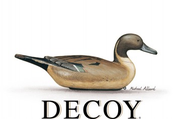 Decoy Wine Company