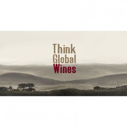 Think Global, LLC