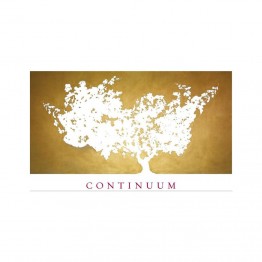 Continuum Estate