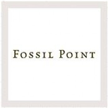 Center of Effort / Fossil Point